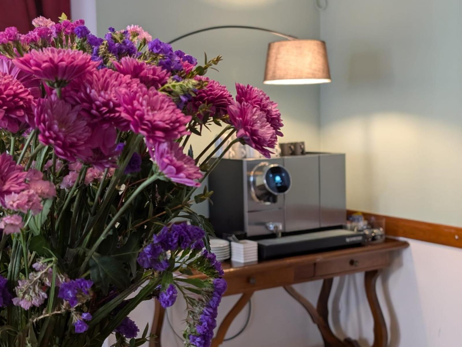 Villa Antonietta Rooms & Coffee 切塞纳蒂科 外观 照片